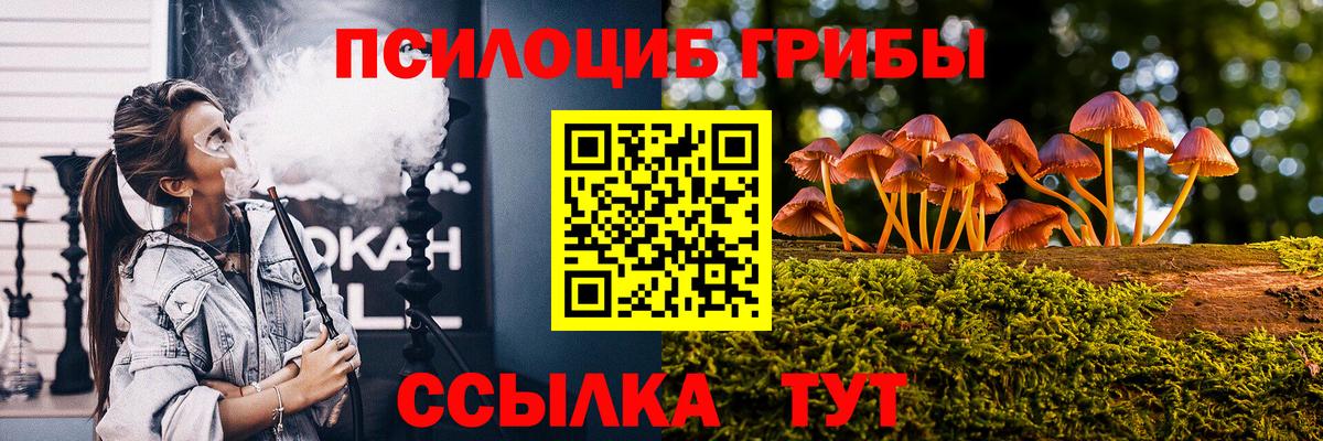 Ачхой-Мартан  Псилоцибиновые грибы Psilocybine cubensis  Вход с VPN  Галлюциногенные грибы мицелий 
