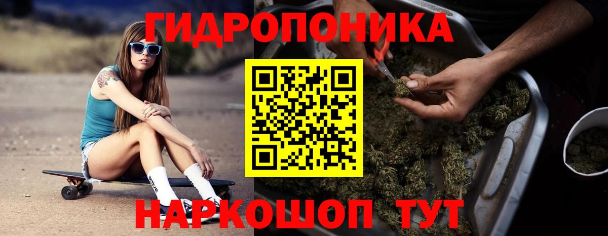 Бошки марихуана сатива Ачхой-Мартан
